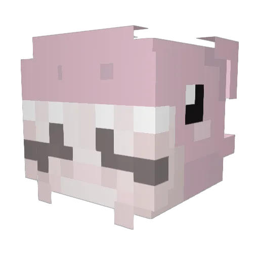 xBlanittka Minecraft avatar head, 3D render