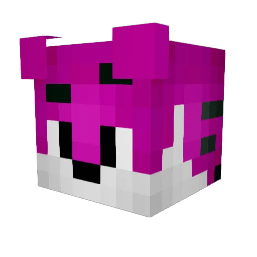 xBloukt Minecraft avatar head, 3D render