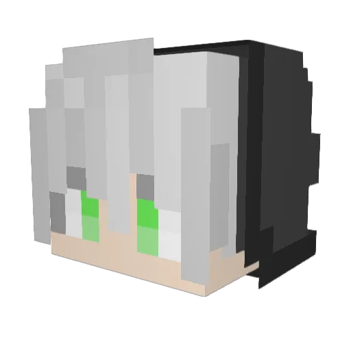xBoOoldOr Minecraft avatar head, 3D render
