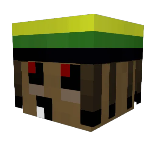 xBolekILolekPLx Minecraft avatar head, 3D render