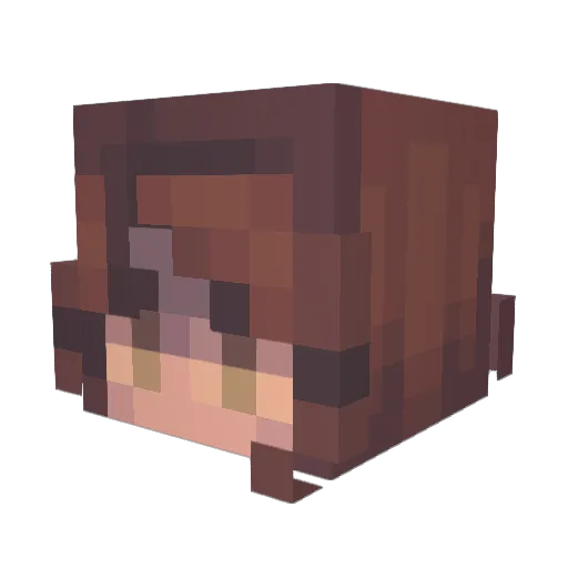 xBriarstoes Minecraft avatar head, 3D render