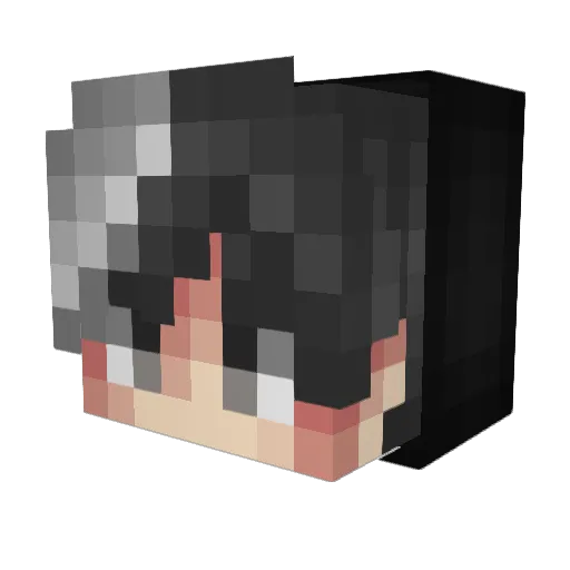 xBurdy Minecraft avatar head, 3D render
