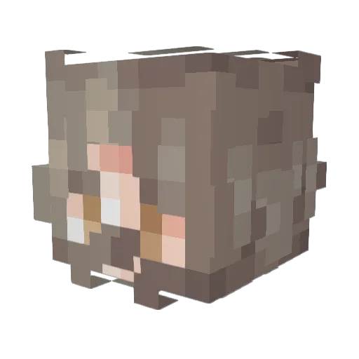 xBurntToastx Minecraft avatar head, 3D render
