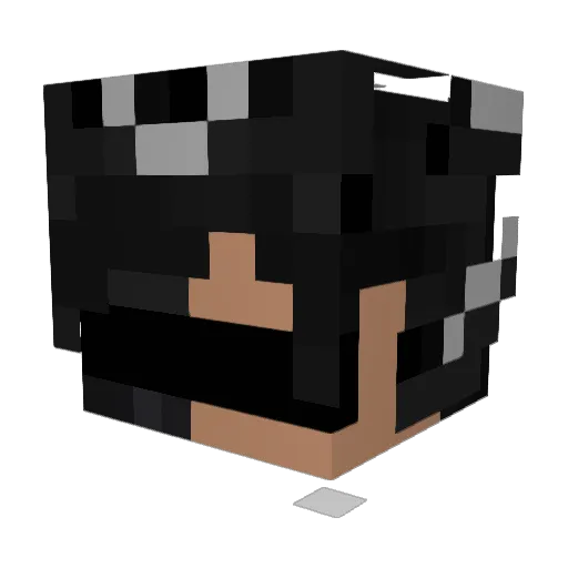 xBusted8 Minecraft avatar head, 3D render