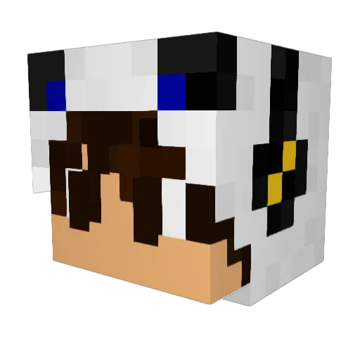 xBuzzkill21x Minecraft avatar head, 3D render