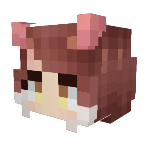 xCAMARONx Minecraft avatar head, 3D render