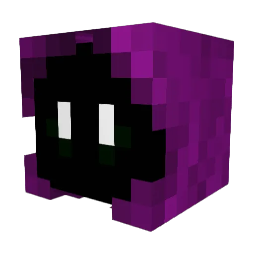 xCOATx Minecraft avatar head, 3D render