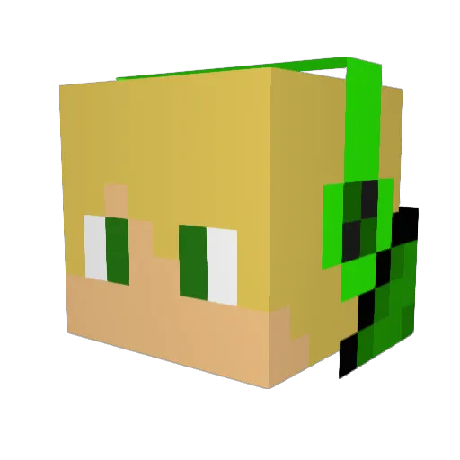 xCamthecreeper Minecraft avatar head, 3D render