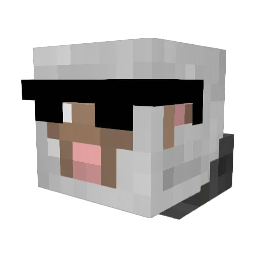 xCamzFTW Minecraft avatar head, 3D render