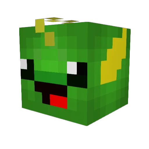 xCanYouDigItx Minecraft avatar head, 3D render