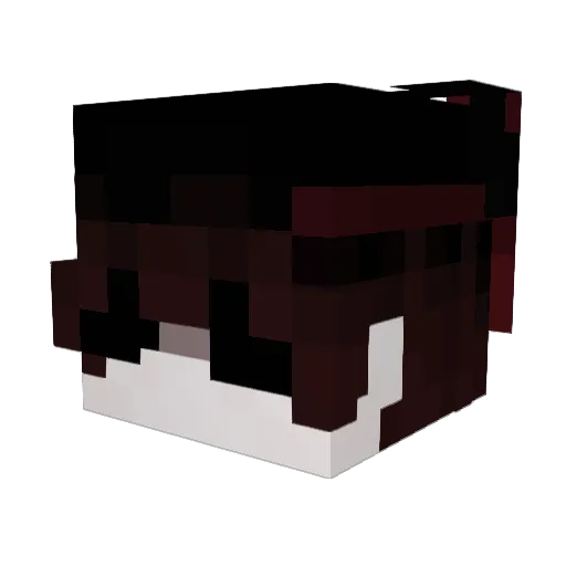 xCangaceiro_ Minecraft avatar head, 3D render