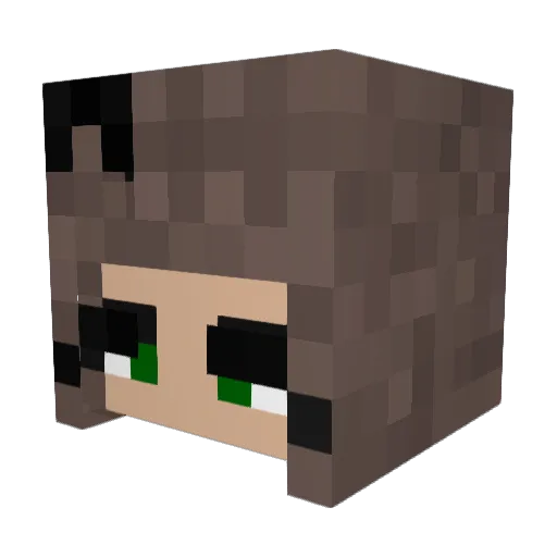 xCastelles Minecraft avatar head, 3D render