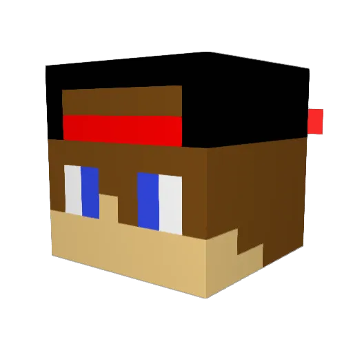 xCelebrate Minecraft avatar head, 3D render