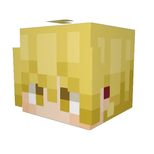 xChan9 Minecraft avatar head, 3D render