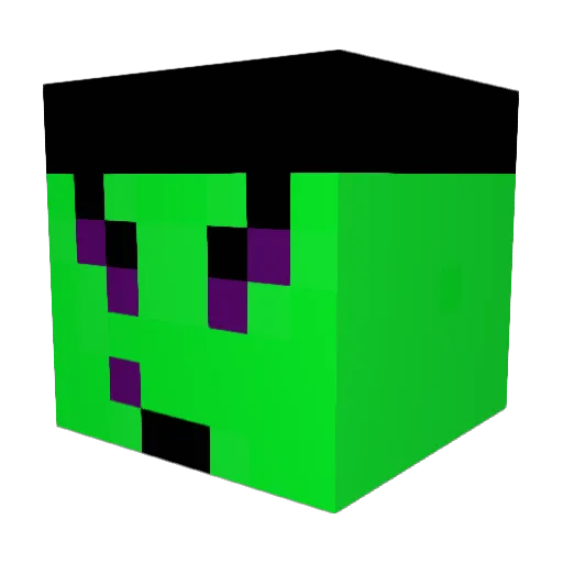 xChar_x Minecraft avatar head, 3D render