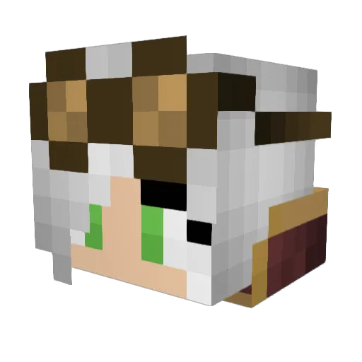 xCheesyBurger Minecraft avatar head, 3D render
