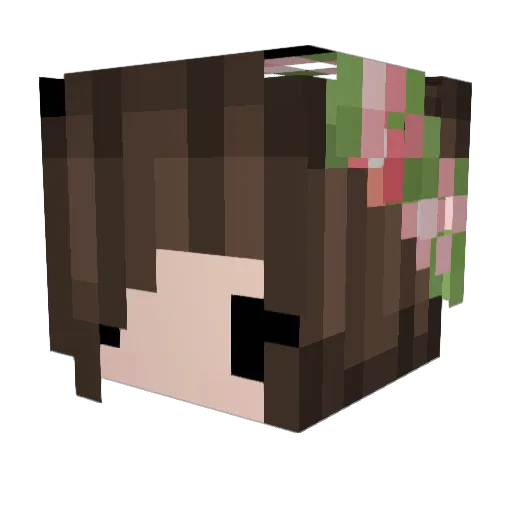 xChesh Minecraft avatar head, 3D render