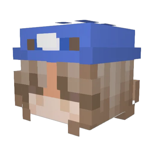 xChipGaming Minecraft avatar head, 3D render