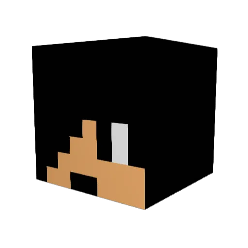 xChristopher98x Minecraft avatar head, 3D render