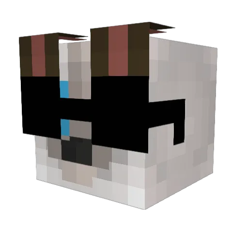 xChuletin Minecraft avatar head, 3D render