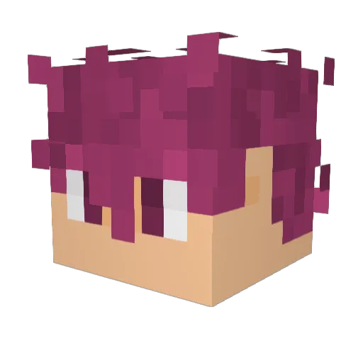 xCifer Minecraft avatar head, 3D render