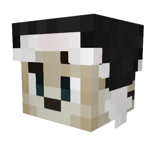 xCitcal_ Minecraft avatar head, 3D render