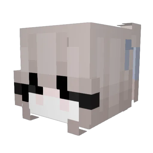 xCleo Minecraft avatar head, 3D render
