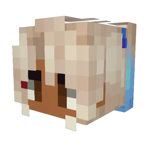 xCloudieMC Minecraft avatar head, 3D render
