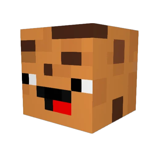xCo0kix Minecraft avatar head, 3D render