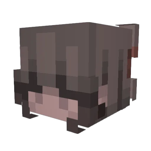xCoCoPuffsx Minecraft avatar head, 3D render