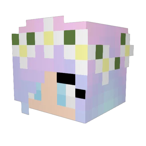 xCookieCreeperx Minecraft avatar head, 3D render