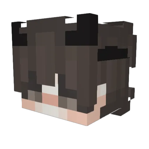 xCraftRayX Minecraft avatar head, 3D render