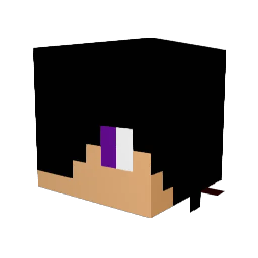 xCrazyCreeperx Minecraft avatar head, 3D render