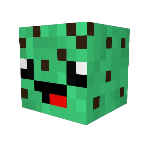 xCurve Minecraft avatar head, 3D render