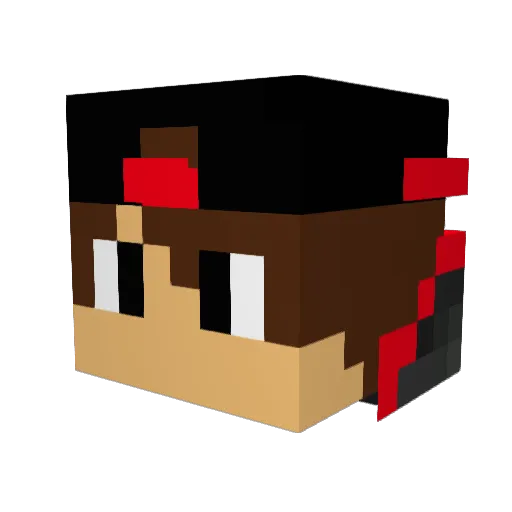 xD0n Minecraft avatar head, 3D render