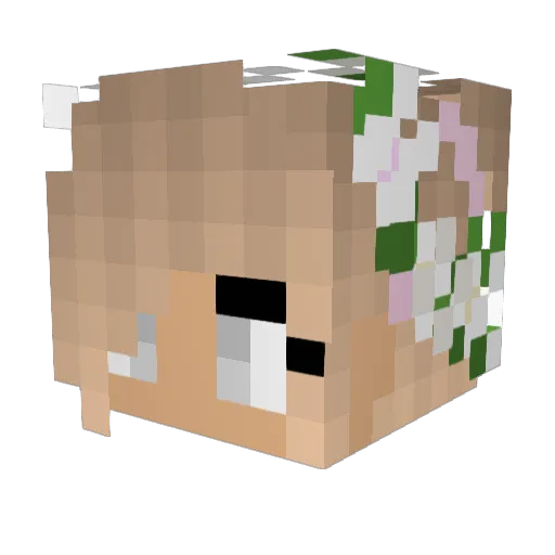 xD_jojo_xD Minecraft avatar head, 3D render