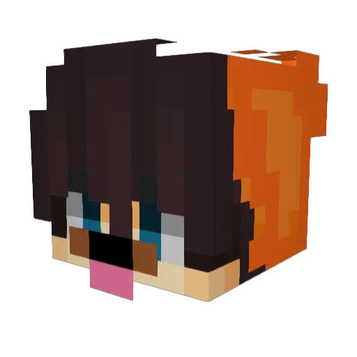 xDaarkoo_ Minecraft avatar head, 3D render
