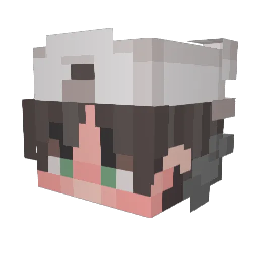 xDakuma Minecraft avatar head, 3D render
