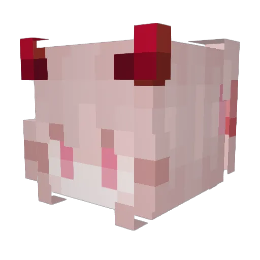 xDameX Minecraft avatar head, 3D render