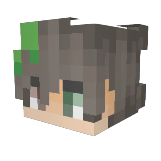 xDandyy Minecraft avatar head, 3D render