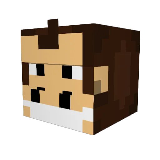 xDank_Memes Minecraft avatar head, 3D render