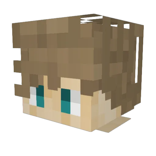 xDankoo Minecraft avatar head, 3D render
