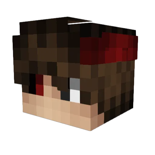 xDannyIsBack Minecraft avatar head, 3D render