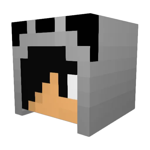 xDarKnight Minecraft avatar head, 3D render