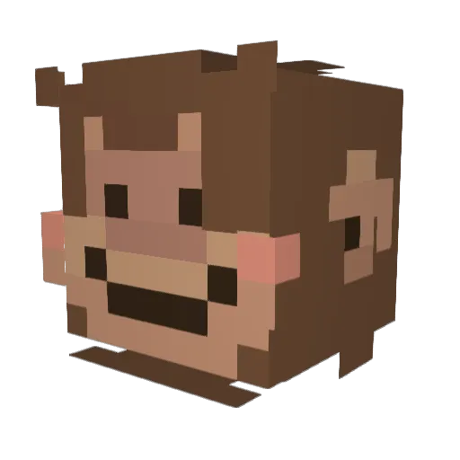 xDbibs Minecraft avatar head, 3D render