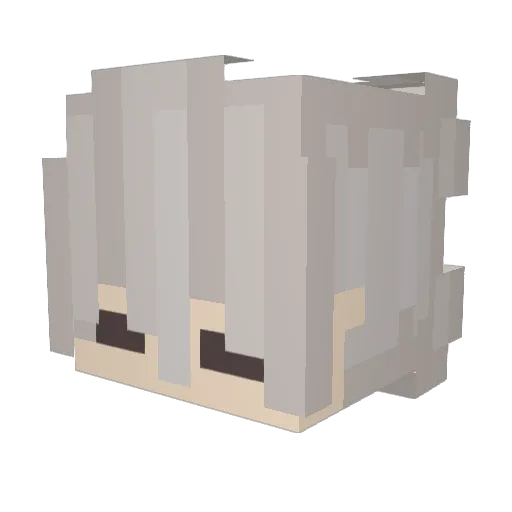 xDeNs Minecraft avatar head, 3D render