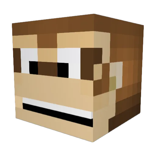 xDeeKay Minecraft avatar head, 3D render