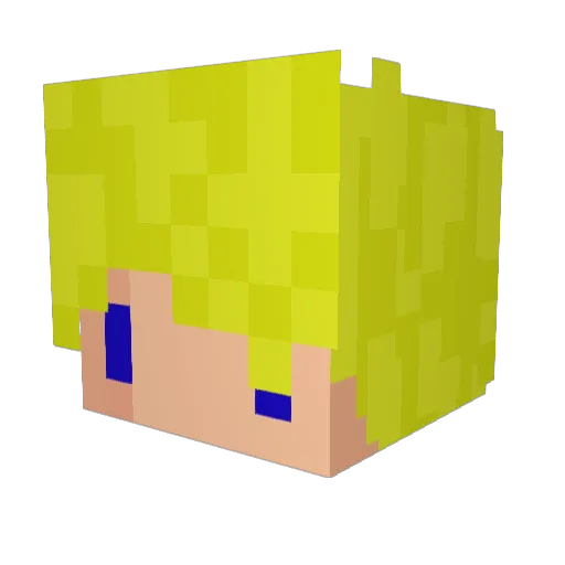 xDesertFox_ Minecraft avatar head, 3D render