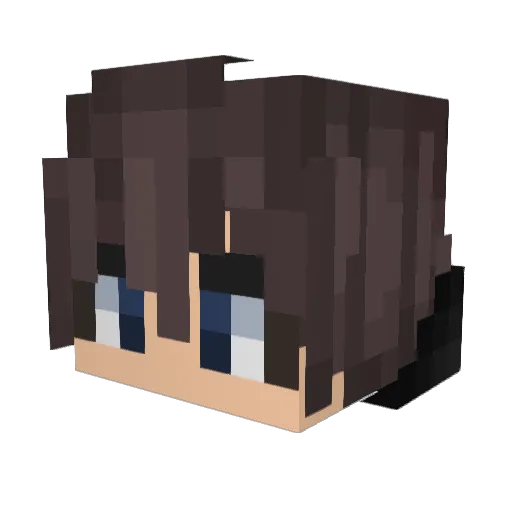 xDestrouction_ Minecraft avatar head, 3D render