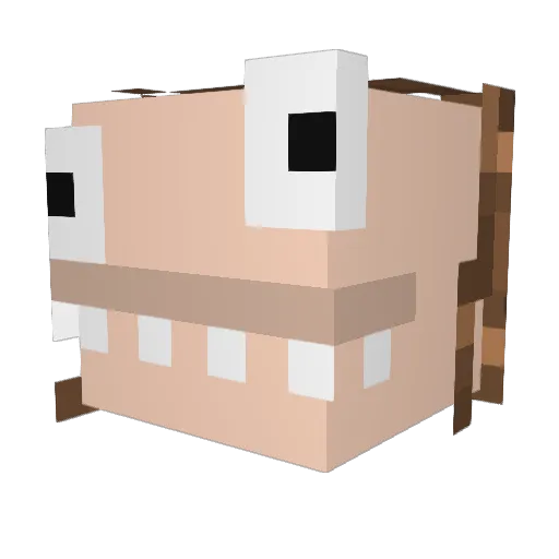 xDiana Minecraft avatar head, 3D render